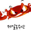 자연산바다장어 이미지