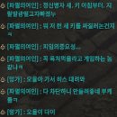 히스타민 본인등판 전투기록공개 +추가 이미지