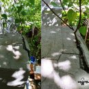 동백태양광 - 청주시 상당구 상당로 127 | 동백태양광