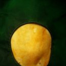 웰니스 동물병원 이미지