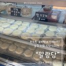 포항핫플 ❝말랑당❞ 후기🍡 쫀득한 모찌빵에 반해버린 포항 이동 신상 디저트