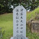 개성왕씨부인묘 | (대전)지중추원사 황자후(黃子厚) 묘-회덕황씨-