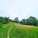신기리 고분군 | 양산 성황산 등산 신기산성산책로 가벼운 산행