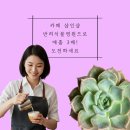 강화식물병원 이미지