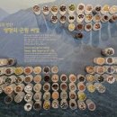 국립수목원 산림박물관 이미지