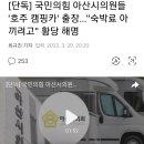 국짐당 아산시의원들 '호주 캠핑카'출장...숙박료 아끼려 황당 해명 이미지