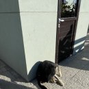 아련이네편션형민박 | [아르헨티나#2] 빙하 위에서 위스키 한잔 하실? - 모레노 빙하 미니트레킹 후기