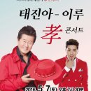 트로트 효 콘서트 이미지