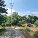 정령치로(60호선) 이미지