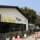 앞뜰에쭈꾸미 | [맛집] 서귀포 불향 가득 쭈꾸미 맛집 | 앞뜰에쭈꾸미 (내돈내산)
