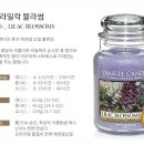 힐링캔들 이미지