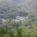 순천-65호 이미지