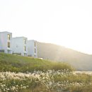 한솔펜션 이미지