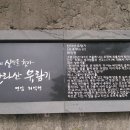 제주 올라 이미지