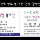 테라피민박