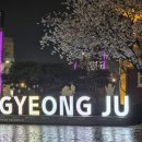 호텔잠 | 경주 황리단길 숙소, 호텔랑잠 솔직 후기