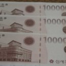 정관장홍삼송파역점