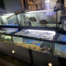 삼송횟집 이미지