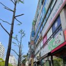서희 태권도장 | 평택시 통복동/이충동/지산동, 진위2산업단지, 오산시 갈곶동 임장 후기