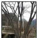 한국경매공인중개사사무소 이미지