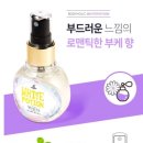 홀릭영 이미지