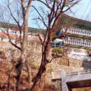 운문사사리암주차장 이미지