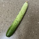 청풍농장 | [오이탕탕이] 오이로 5분만에 만드는 간단한 반찬 시원한 반찬 간단한 안주 시원한 안주 밥 반찬 간단한...