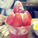 요거프레소 이미지