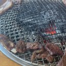 조선돼지