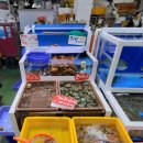 고흥영남수산 이미지