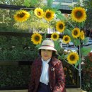 호텔계룡 이미지