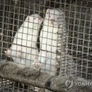 주밤농장 이미지