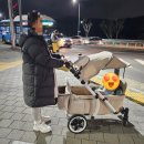 고산카센타 | [임신일기]임신33주차 - 빨래시작 / 정기검진 / 웨건후기