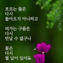 황순원문학관 이미지