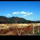 민들레모텔 이미지