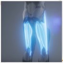 향동한의원 이미지