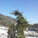 애향농장 네이버블로그