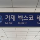 울산 태화강역으로 이미지