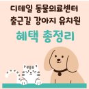 출근길 강아지 유치원 이미지