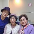 흥선천 이미지