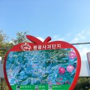 평광