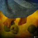 한여름밤의 꿈 이미지