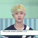 배추머리 이미지