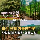 부산 산책 코스 가볼만한곳 어린이대공원 백양산 나들숲길