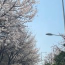 장충헬스클럽 | 앰버서더 서울 풀만 이브제큐티브룸 1박 2일 호캉스 애프터눈 티 + 해피아워 + 조식 + 남산타워 뷰맛집...
