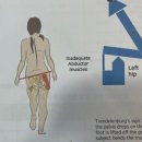 PT의 품격 이미지