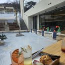 두낫디스터브 반곡지 이미지