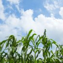 한길요양병원 이미지