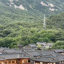은평한옥마을카페 1인1상, 한옥뷰와 애플파이, 내돈내산 후기