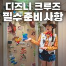 마블피시 | [공지] [디즈니 크루즈 준비물] 탑승 전 꼭 준비해야 하는 3가지! 문 꾸미기부터 피시 익스텐더까지 총정리
